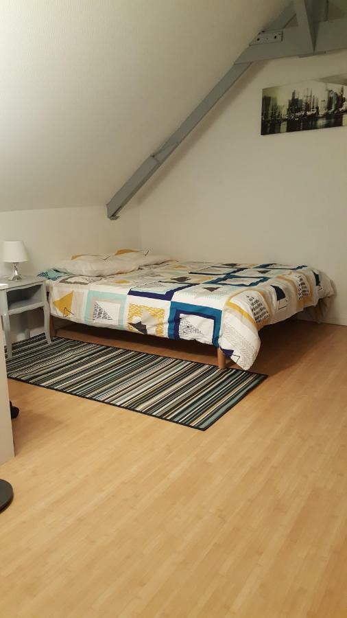 Joli Duplex Gare - Centre Ville Rennes Zewnętrze zdjęcie